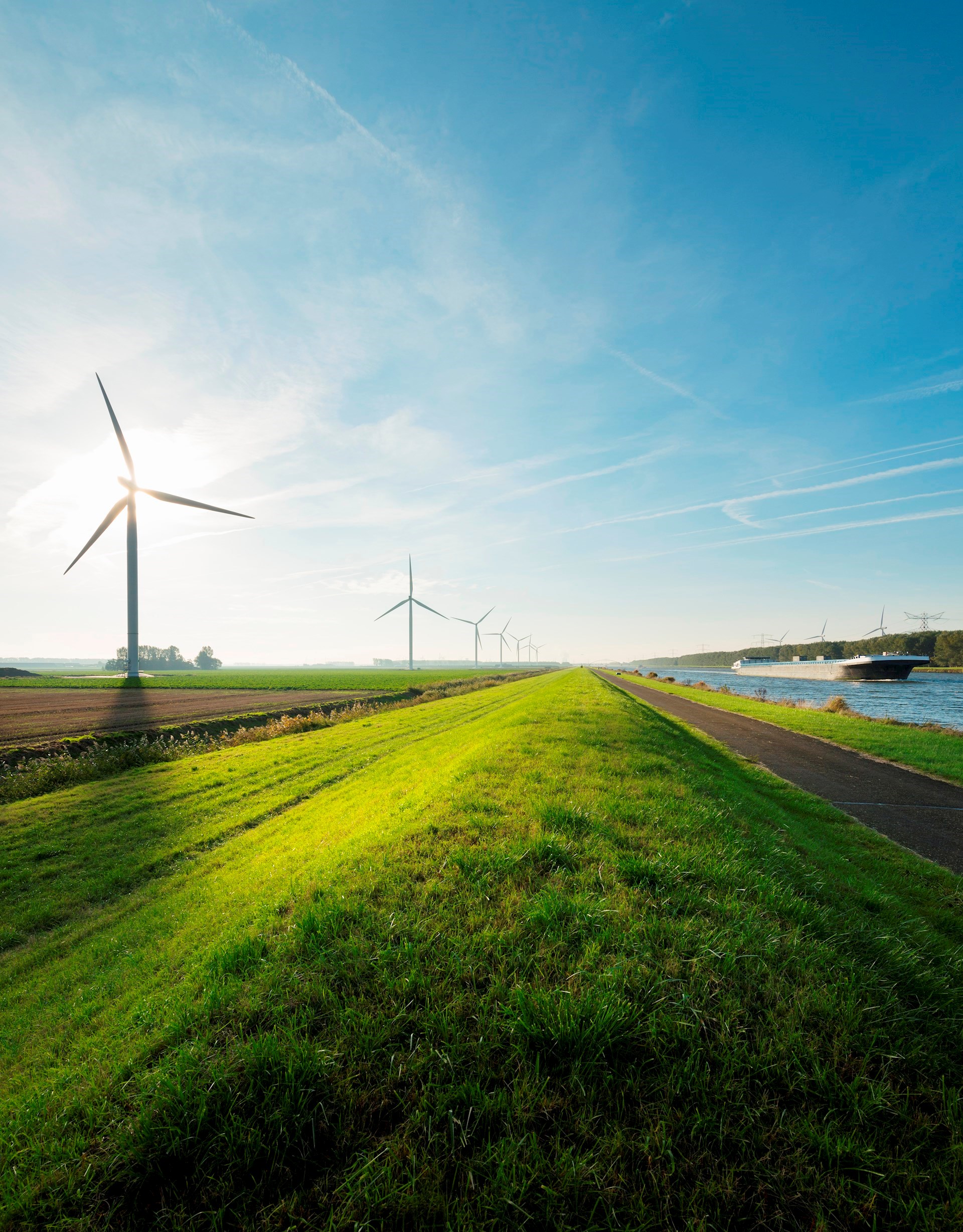 Wind turbines overlooking a sunny, green field.